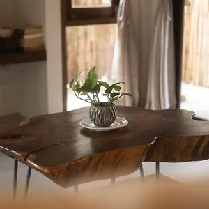 3* Hotel Big Tree Boutique